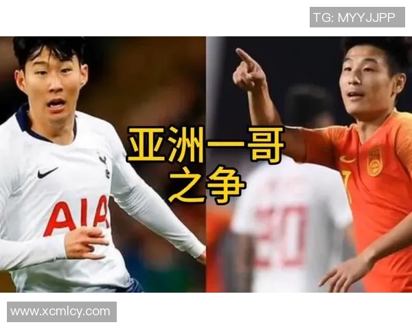 南京羽毛球队速度之争引发热议球迷观点各异分析背后原因与影响